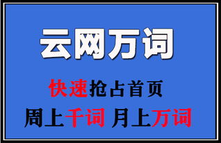 牛推家園 上海SEO優(yōu)化與網(wǎng)絡(luò)推廣外包的優(yōu)質(zhì)品牌